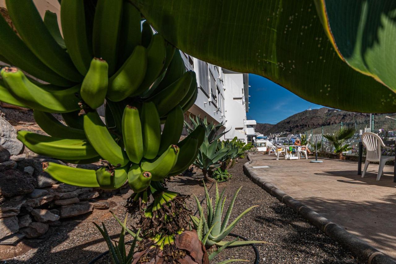Your Happy Place Puerto Rico With Ac エクステリア 写真